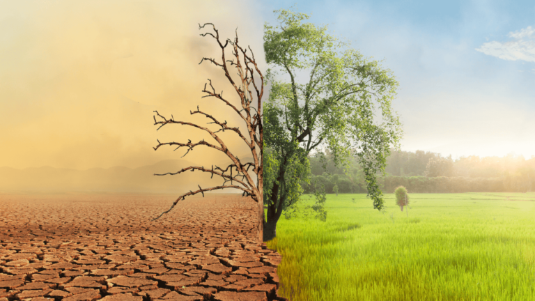 Life-Changing Lessons You Can Learn from Ramadan